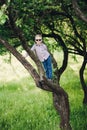 Little boy posing on crown of tree in park in summertime.