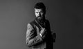 Portrait of stylish man. Perfect beard. Bearded male, stylish hairstyle, beard. Elegant handsome man in suit. Man in Royalty Free Stock Photo