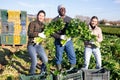 Portrait of international team of farmers on celery plantation on day during harvest