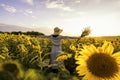 Portrait in summer. Sunflower on hand. Beautiful young Asian girl holding flower on hand in sunflower field at sunset Royalty Free Stock Photo