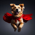 Portrait of superhero dog wearing red cape, jumping like a super hero, isolated on studio background