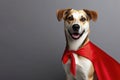Portrait of superhero dog wearing red cape on solid color background. ai generative