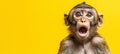 Portrait of Surprised Brown Monkey With Opened Round Mouth And Raised Eyebrows On Yellow Background Royalty Free Stock Photo