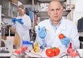 Surprised scientist injecting chemicals into tomato