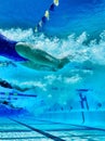 Portrait of Swimmers Racing in Pool Royalty Free Stock Photo