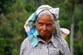 Portrait of Tamil Tea Picker