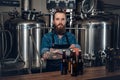 A man manufacturer presenting beer in the microbrewery. Royalty Free Stock Photo