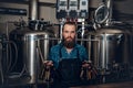 A man manufacturer presenting beer in the microbrewery. Royalty Free Stock Photo