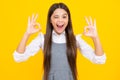 Portrait of teen girl making ok gesture, isolated background. Young teenager smiling and giving okey sign. Happy cute Royalty Free Stock Photo