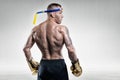Portrait of a Thai boxer. Back view. Mixed martial arts concept