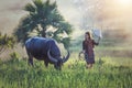 Portrait of Thai young woman farmer with buffalo