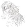 Portrait of them head horse mane Line Illustration