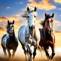 Portrait of Three Beautiful Horses in Motion Against Blue Sky