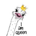 Portrait of a three Funny Ostrich queen wiht crown . Humor card, t-shirt composition, hand drawn style print. Vector Royalty Free Stock Photo