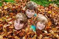 Portrait of three siblings children. Two kids brothers boys and little cute preschool sister girl having fun together in Royalty Free Stock Photo