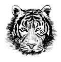 Portrait of a tiger head from a splash of ink, hand drawn sketch. Vector illustration of paints Royalty Free Stock Photo