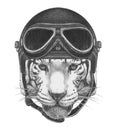 Portrait of Tiger with Vintage Helmet.