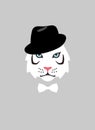Portrait of tiger, wearing hat, like a man, cool style, cosplay Royalty Free Stock Photo