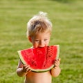 One year old baby boy eating watermelon in the garden Royalty Free Stock Photo