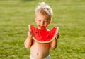 One year old baby boy eating watermelon in the garden Royalty Free Stock Photo