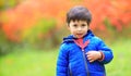 Portrait of a toddler cute boy with a red maple leaf in the hand