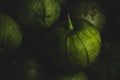 Portrait of tomatillo, Mexican husk tomato, selective focus