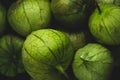 Portrait of tomatillo, Mexican husk tomato, selective focus Royalty Free Stock Photo