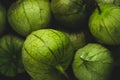 Portrait of tomatillo, Mexican husk tomato, selective focus