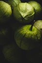 Portrait of tomatillo, Mexican husk tomato, selective focus Royalty Free Stock Photo