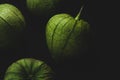 Portrait of tomatillo, Mexican husk tomato, selective focus