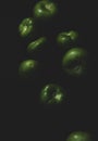 Portrait of tomatillo, Mexican husk tomato, selective focus Royalty Free Stock Photo