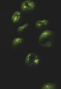 Portrait of tomatillo, Mexican husk tomato, selective focus