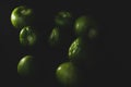 Portrait of tomatillo, Mexican husk tomato, selective focus Royalty Free Stock Photo