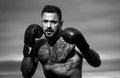 Portrait of tough male boxer posing in boxing gloves. Professional fighter ready for boxing match. Sportsman muay thai