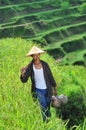 Portrait of traditional organic rice farmer with his tools.