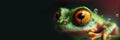 portrait of tree frog close-up, panoramic layout Royalty Free Stock Photo