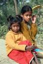 Portrait of tribal children in a village Kumrokhali, India Royalty Free Stock Photo