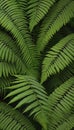 Portrait Tropical fern leaves, floral pattern background, concept of nature