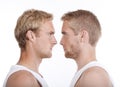 Portrait of twin brothers Royalty Free Stock Photo