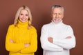 Portrait of two attractive cheery content grey-haired people folded arms wearing jumper isolated over brown color Royalty Free Stock Photo