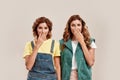 Portrait of two attractive young girls, twin sisters in casual wear looking surprised at camera, covering mouth with one