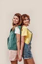 Portrait of two attractive young girls, twin sisters in casual wear smiling at camera, holding hands, posing together Royalty Free Stock Photo