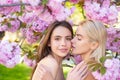 Portrait of a two beautiful spring girls. Two young women relaxing in sakura flowers. Lesbian couple kissing. Sensual Royalty Free Stock Photo