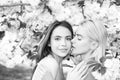 Portrait of a two beautiful spring girls. Two young women relaxing in sakura flowers. Lesbian couple kissing. Sensual Royalty Free Stock Photo