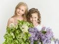 Portrait of two beautiful white girls with a lilac in hands on a white background