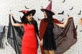 Portrait of two beautiful young asian woman in witch halloween costume on white brick background decorated with black paper bat Royalty Free Stock Photo