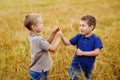 Portrait of two boys in T-shirts and shorts in a wheat field. Children look at the ears of corn. Selective focus. Happy summer, Royalty Free Stock Photo
