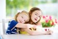 Portrait of two cute little sisters at home on beautiful summer day