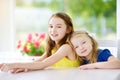 Portrait of two cute little sisters at home on beautiful summer day Royalty Free Stock Photo
