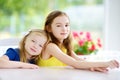 Portrait of two cute little sisters at home on beautiful summer day Royalty Free Stock Photo